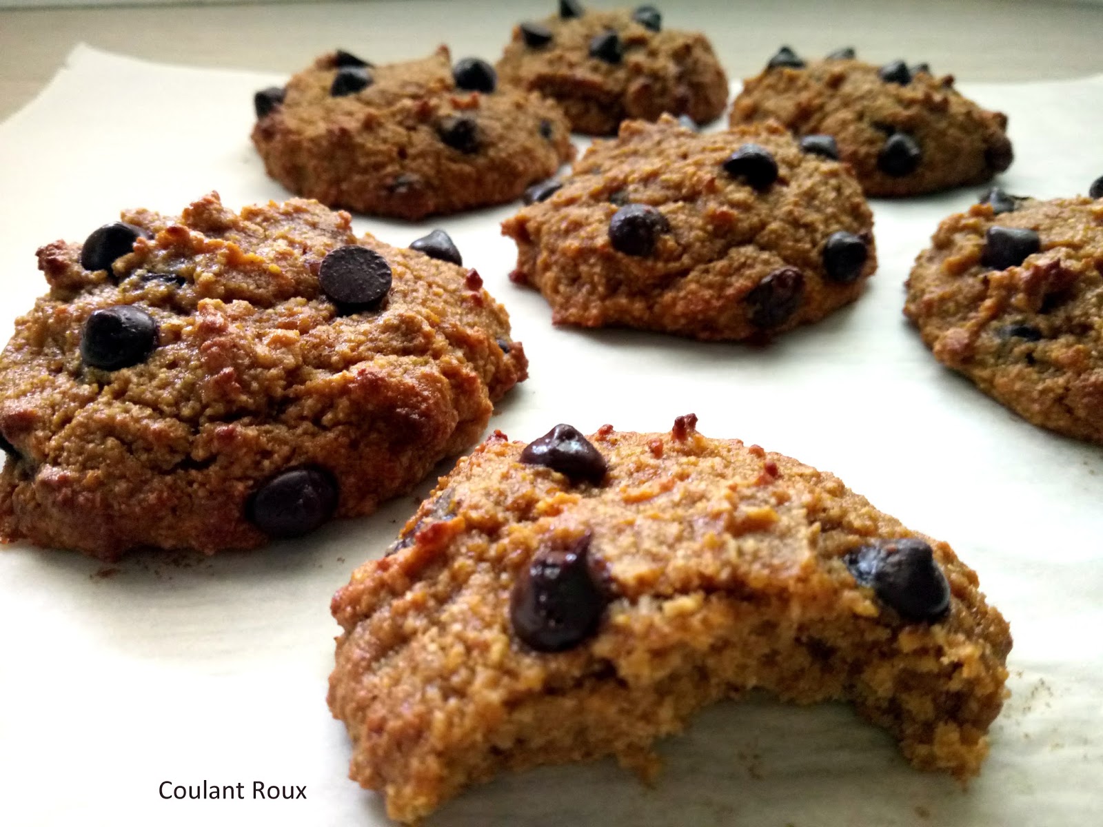 GALLETAS de CALABAZA, COCO, AVENA y CHOCOLATE sin gluten Coulant Roux
