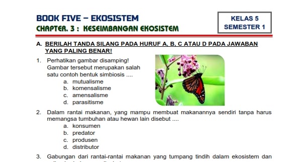 Soal essay ekosistem kelas 5 02 picture