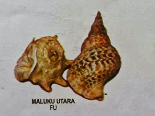 alat musik maluku utara