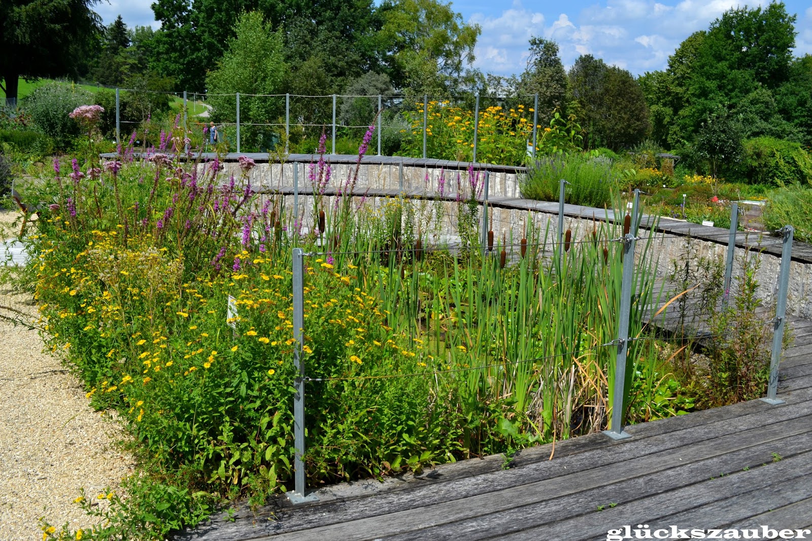 glückszauber Botanischer Garten Regensburg