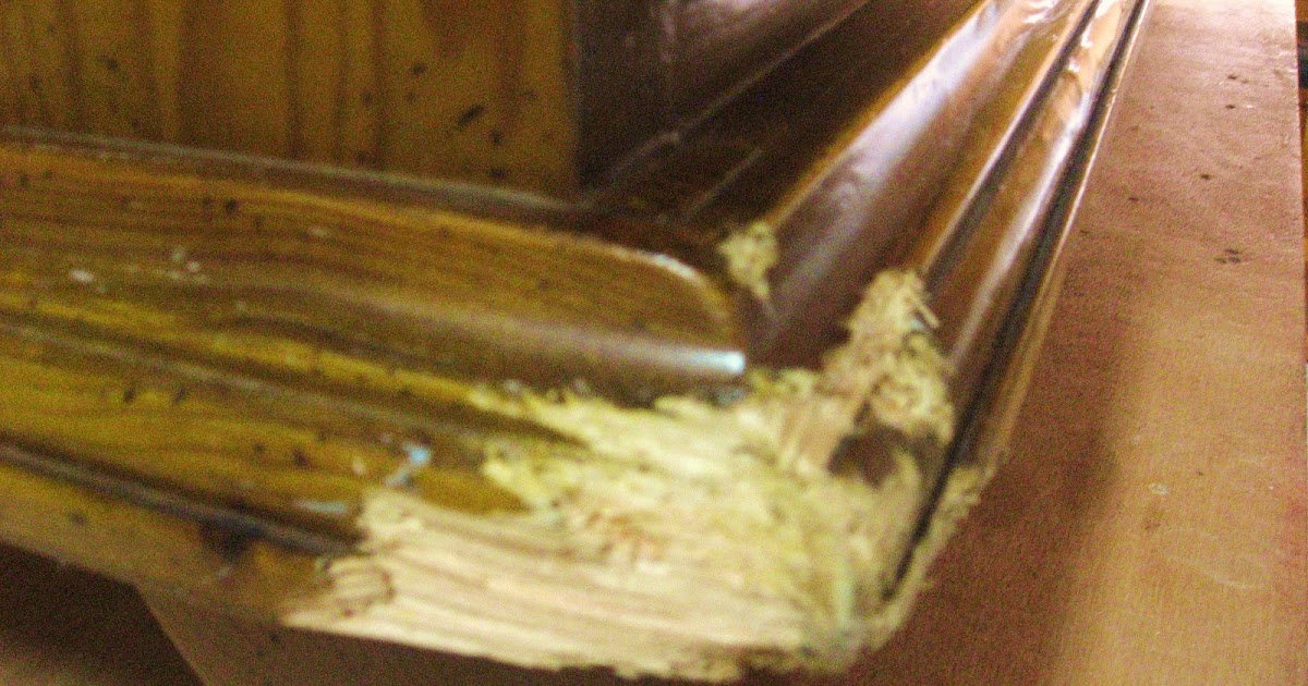 Como Arreglar Un Mueble De Madera Mordido Por Un Perro - Noticias del Perro