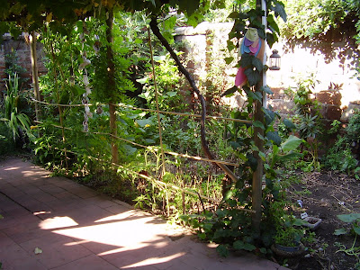 Mi Mano de Yeso: Día de la Tierra