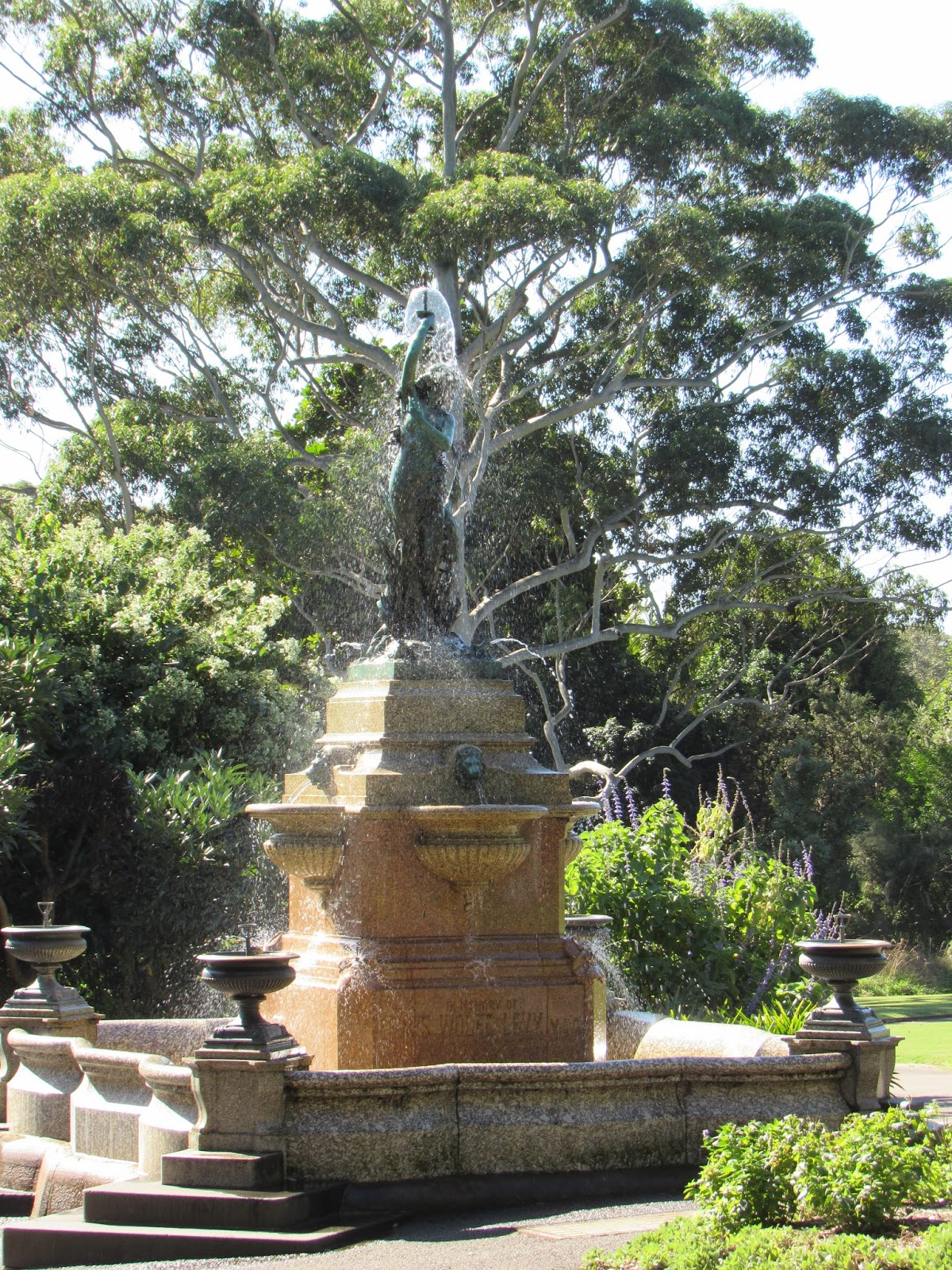 Noel S Garden Blog Australian Plants Amaze Astonish And Confuse