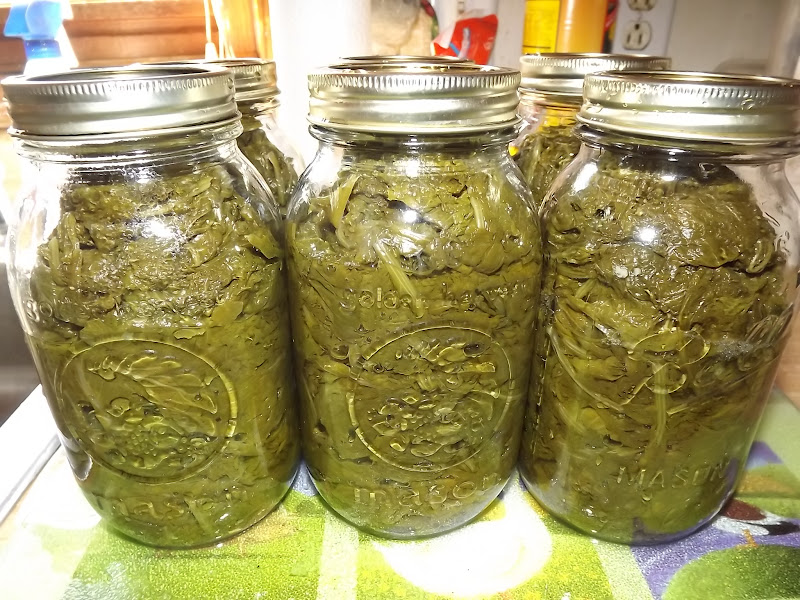 God is good ! How To Can Mustard Greens