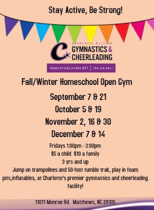 The Homeschool Gossip HOMESCHOOL OPEN GYM Charlotte Allstar