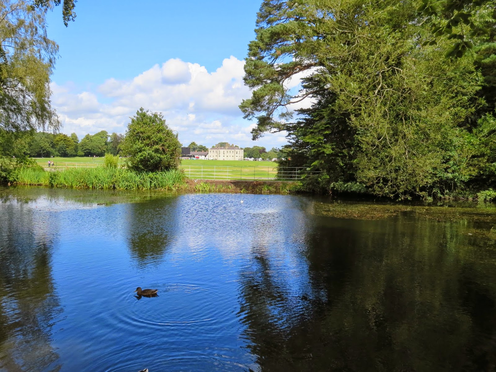 Saturday Afternoon at the Marlay Park Food Market in Dublin | Sidewalk