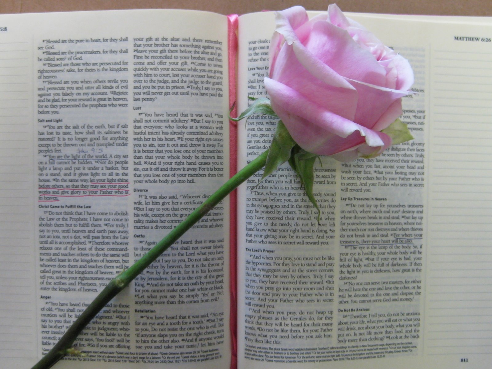 elizabeth-s-treasure-chest-reading-your-bible