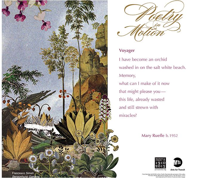 Future Trends 2014: POETRY IN MOTION