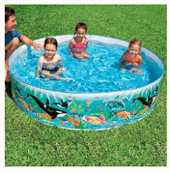 pools swimming instant intex pool reef snapset coral ocean