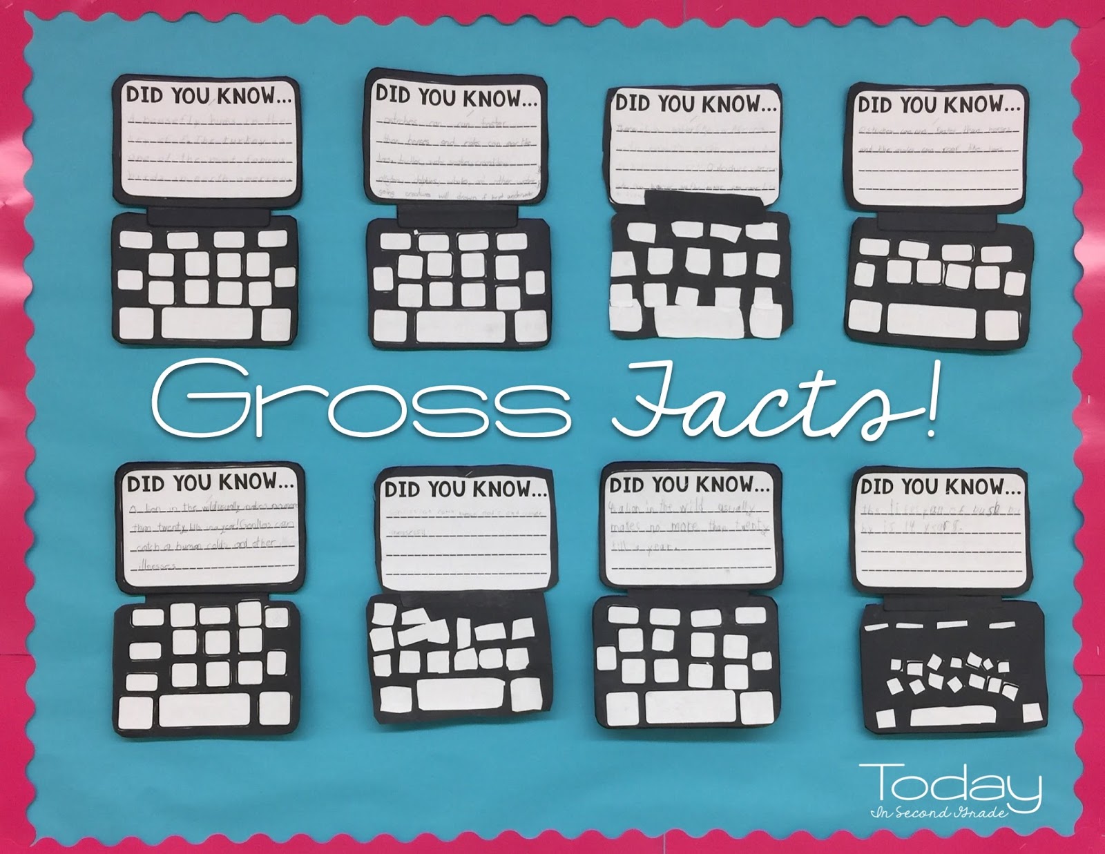 Gross Facts! - Today in Second Grade