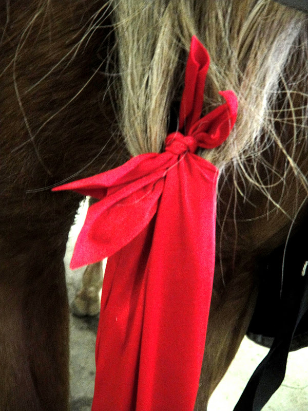 The Crafting Cowgirl Handsewn Tail Bags