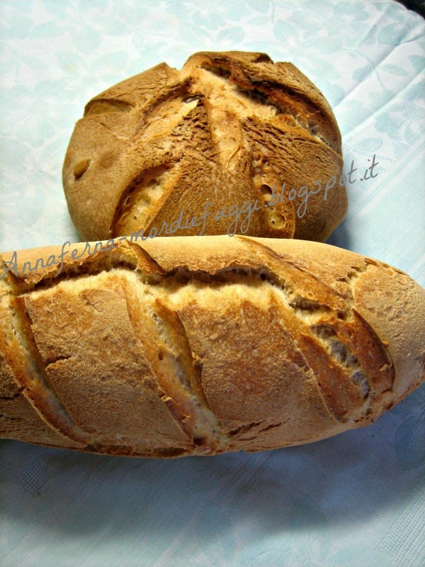 il pane con lievito madre rinfrescato ma senza raddoppio.....di esperimenti e bontà