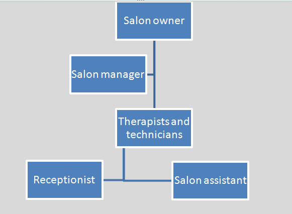 Beauty Salon Organizational Chart