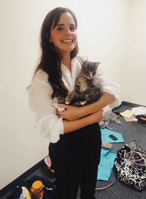 Emma Watson Updates Emma Watson Bts Of Little Women With Who