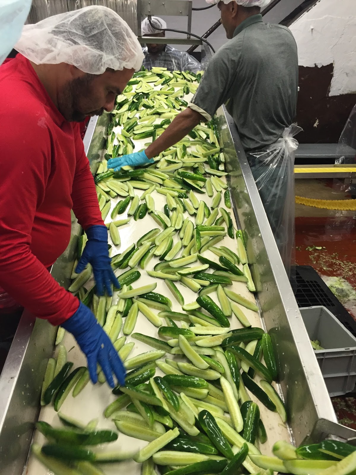 Sense & the City SMELL United Pickle factory