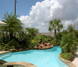 pool landscaping rock around designs plants backyard landscape garden pools stone modern