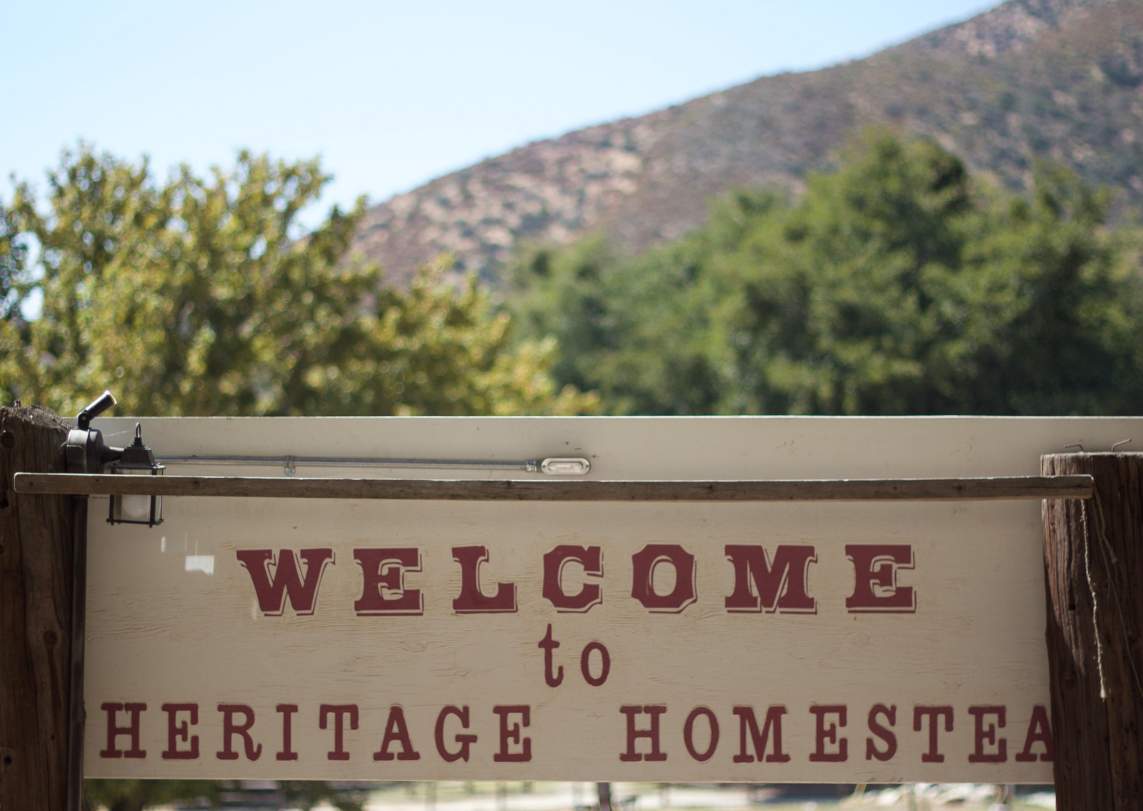 riley's apple farm apple picking riley's apple farm apple picking