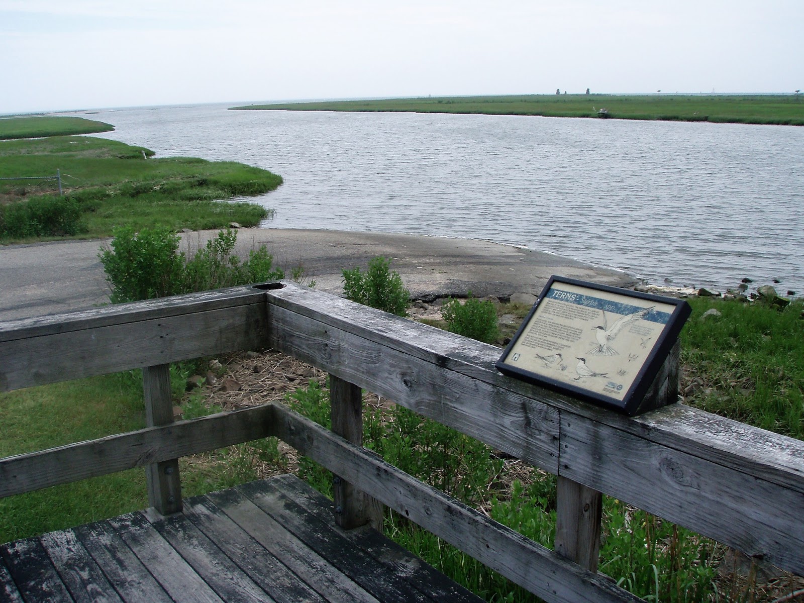 GREAT ISLAND kayaking, Old Lyme, CT.