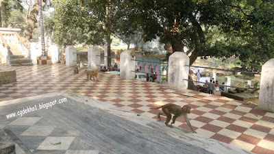 Nrusinghanath Temple Odisha
