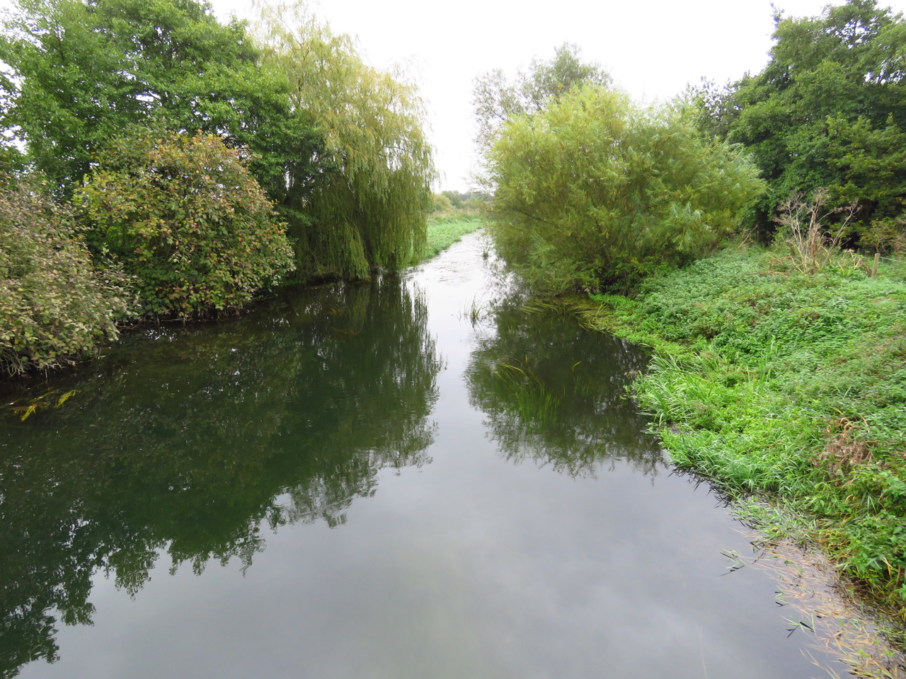 Wild at Hull River Hull. Stage 14. Skerne Wetlands