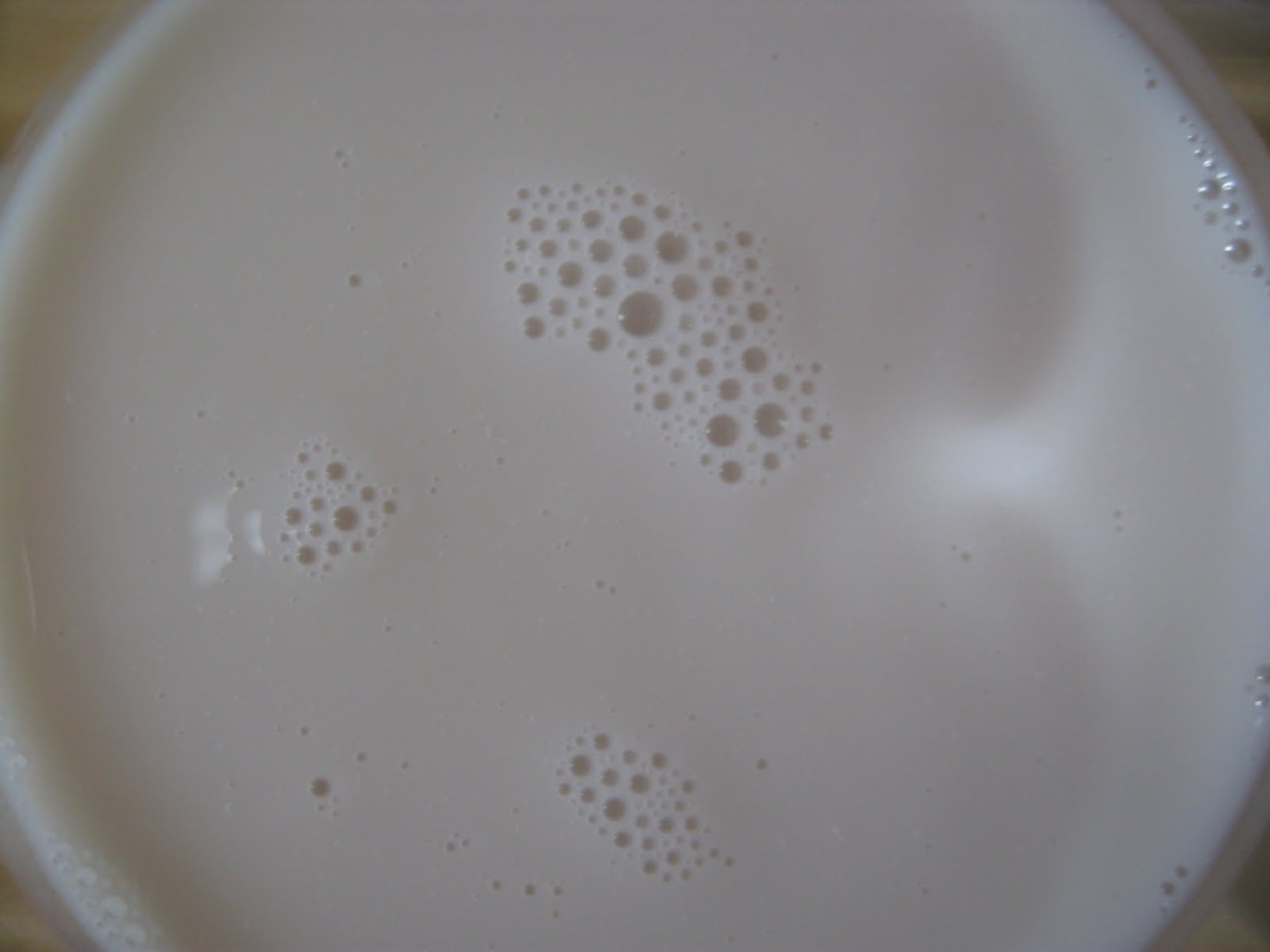 Vegan on a Shoestring Almond Milk Taste Test