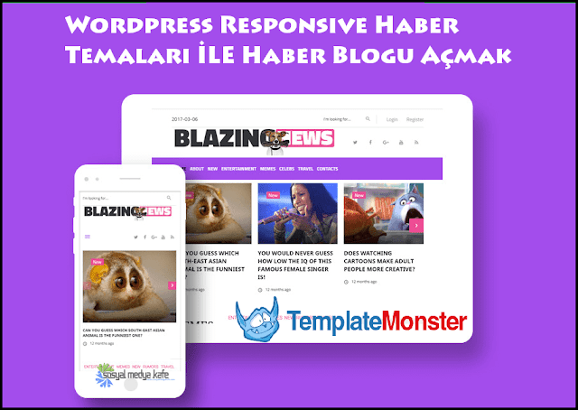 Wordpress Responsive Haber Temaları