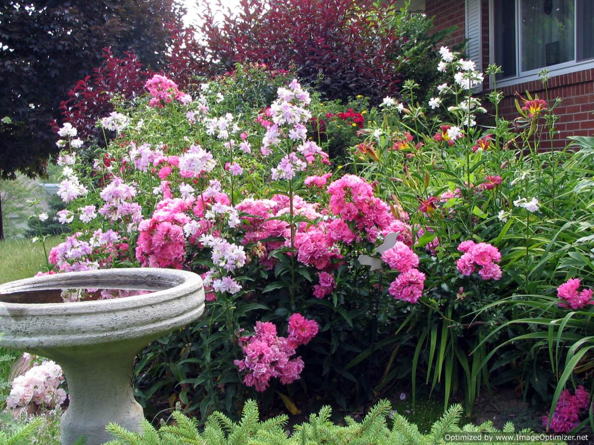 Beautiful Rose Garden Wallpaper rose garden wallpaper | free hd wallpaper Beautiful Rose Garden Wallpaper rose garden wallpaper | free hd wallpaper