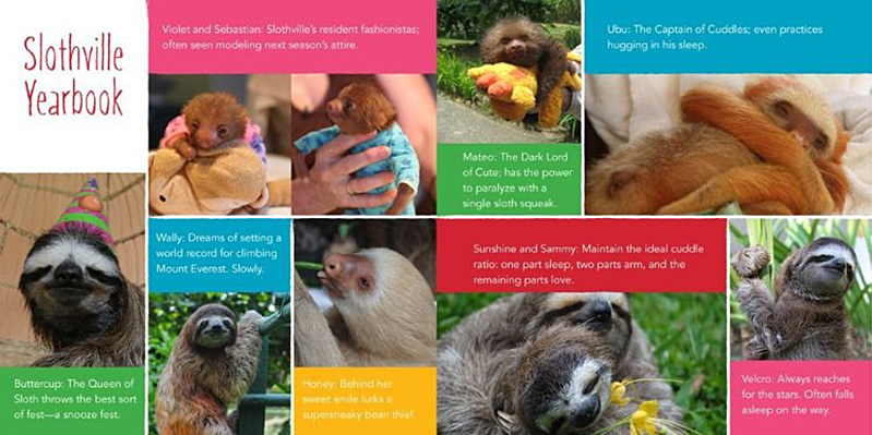 sloth+spread+4+IIHIH.jpg