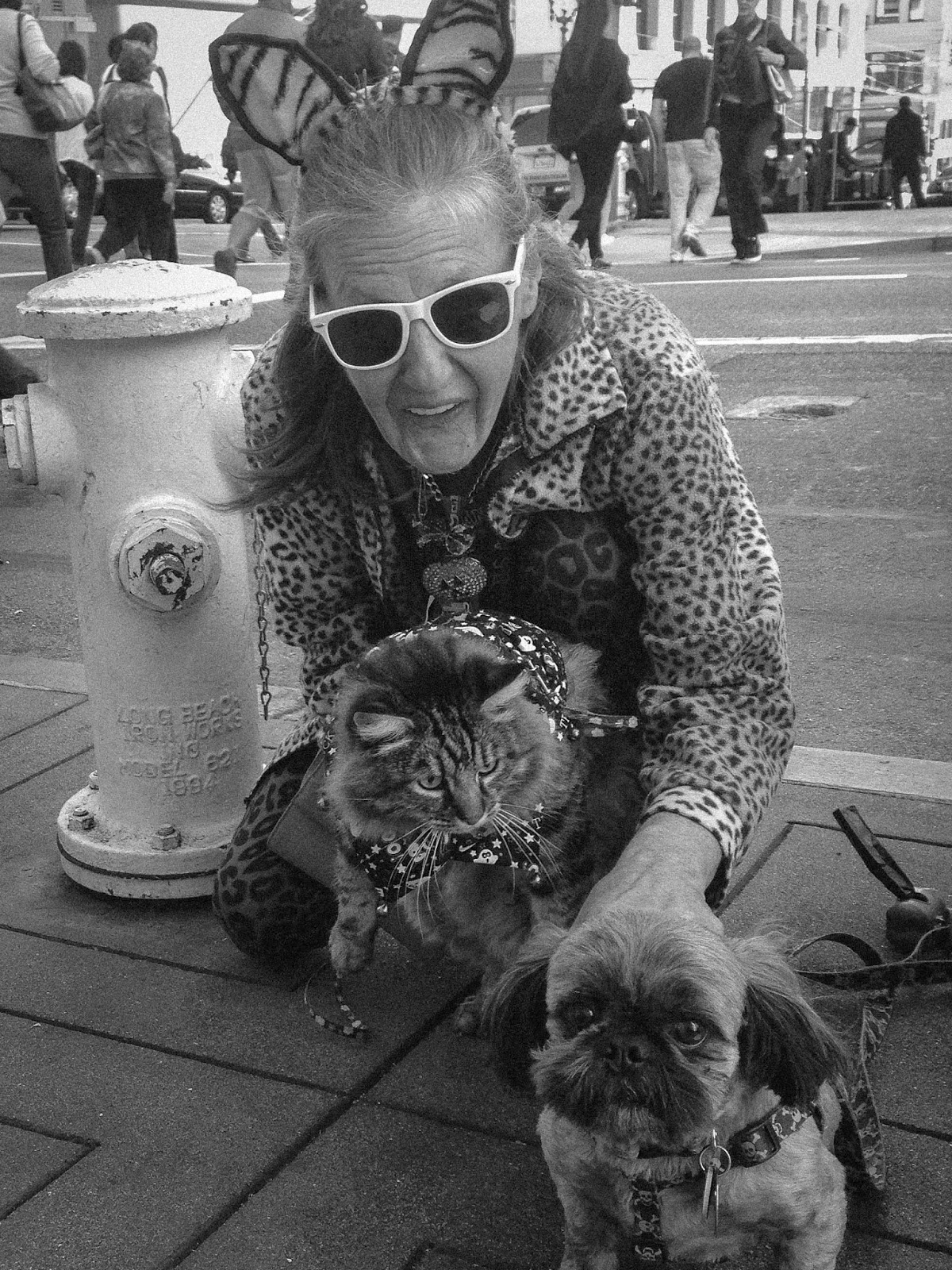 Today's WORD on Journalism: 8-year-old Cat Lady