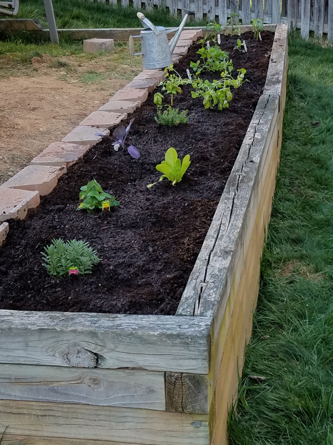 Building My Very First Raised Vegetable garden - Remodelando la Casa