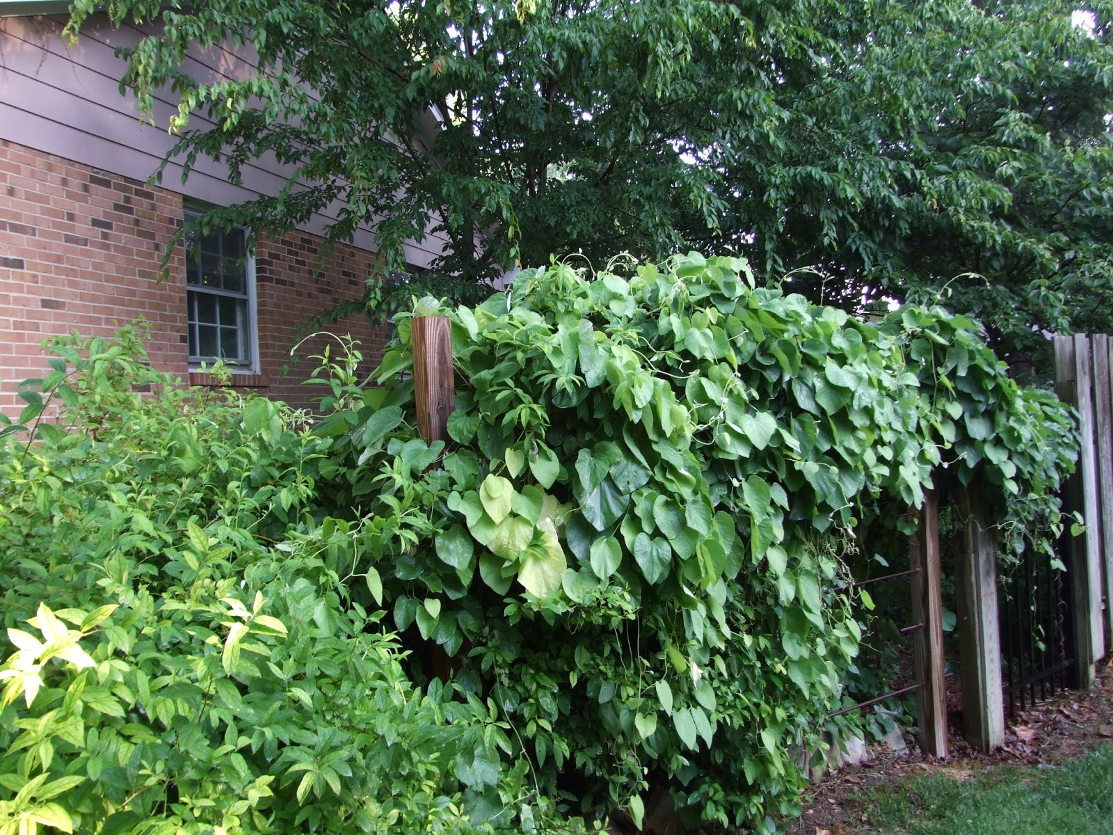 Meg’s Wildlife Sanctuary and Boot Camp: Hoarder