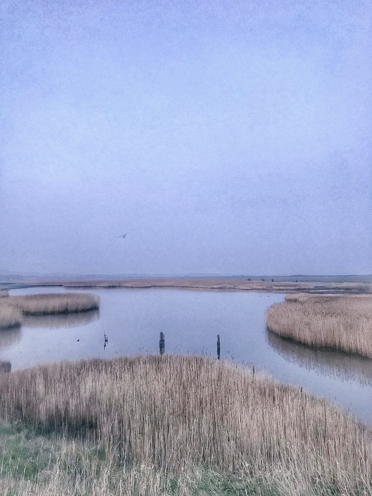 Farlington Marshes | Things To Do In Hampshire