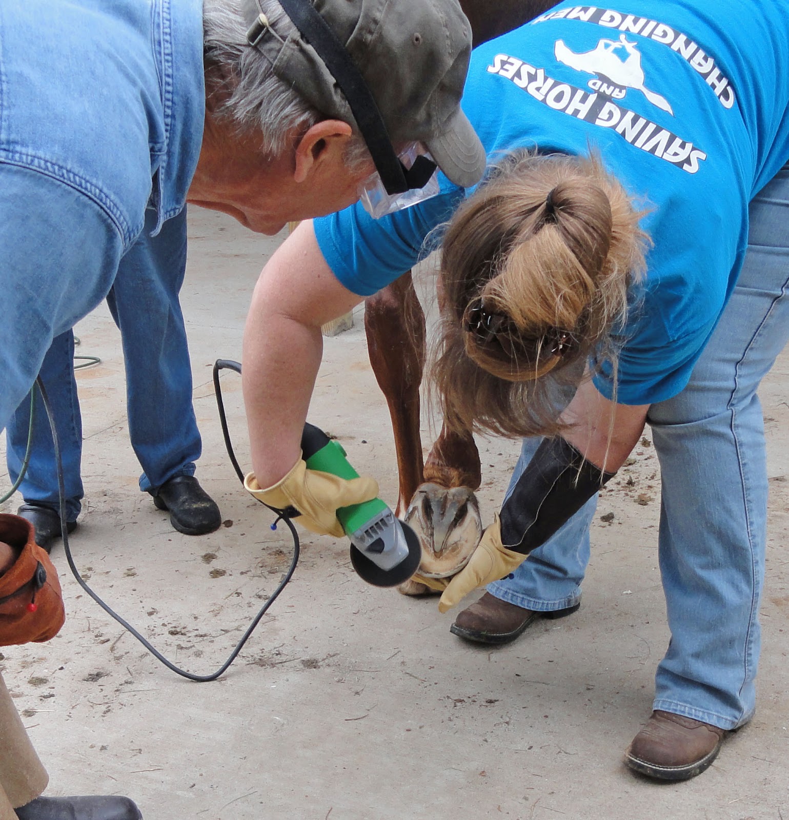 Mustang Dreams.... Trimming hooves with an angle grinder...