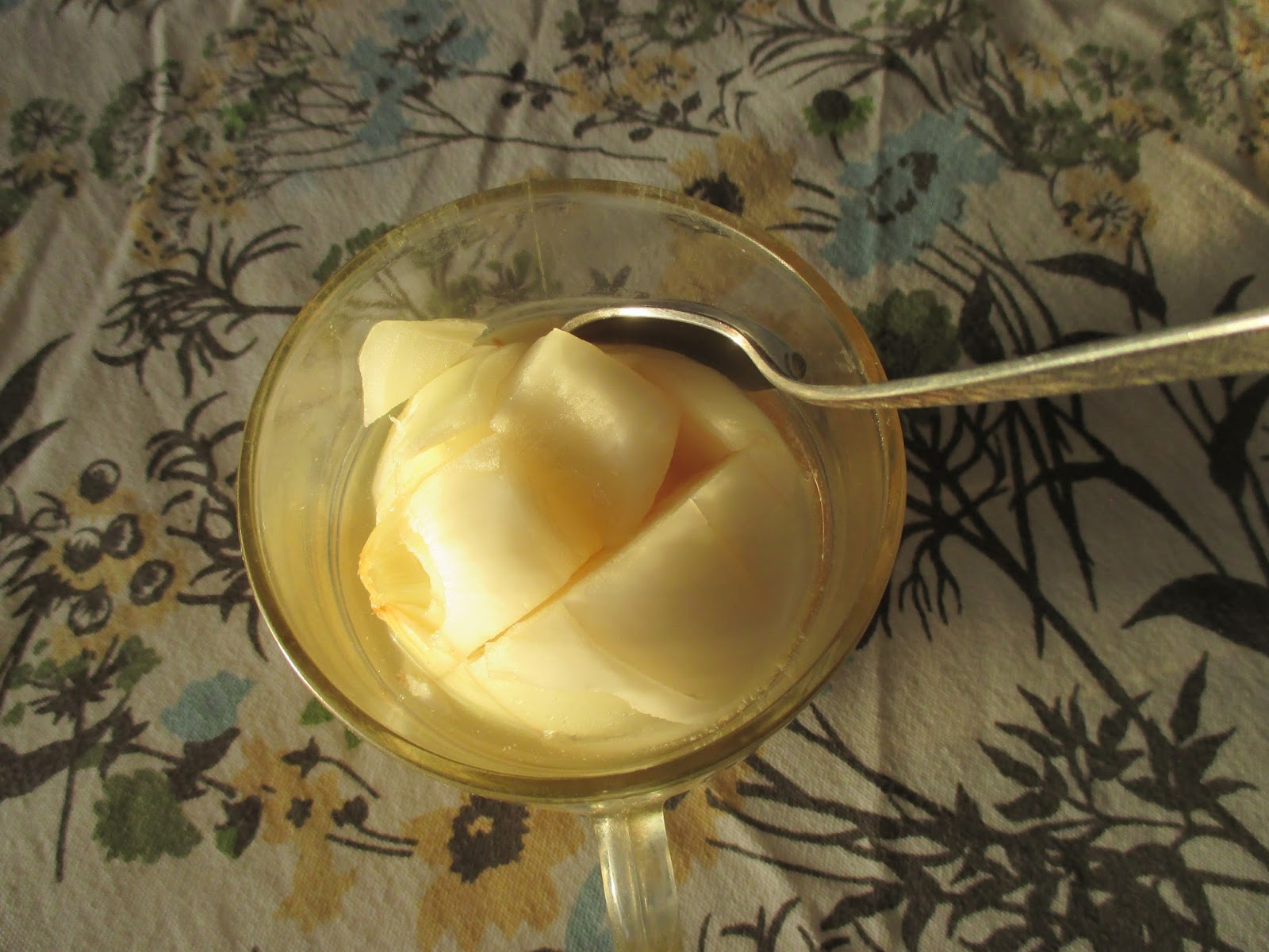 A Jewish Grandmother Onion Honey Cure Homemade Cough Syrup