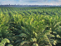 Lowongan Kerja PT. Mitrasari Prima Lowongan Kerja PT. Mitrasari Prima