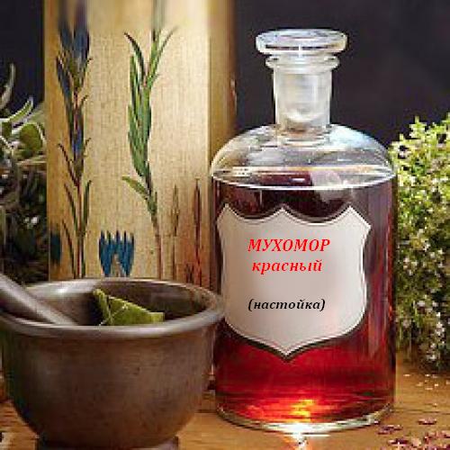 %25D0%25BC%25D1%2583%25D1%2585%25D0%25BE