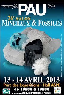 26ème salon Minéraux et Fossiles 2013- Pau 