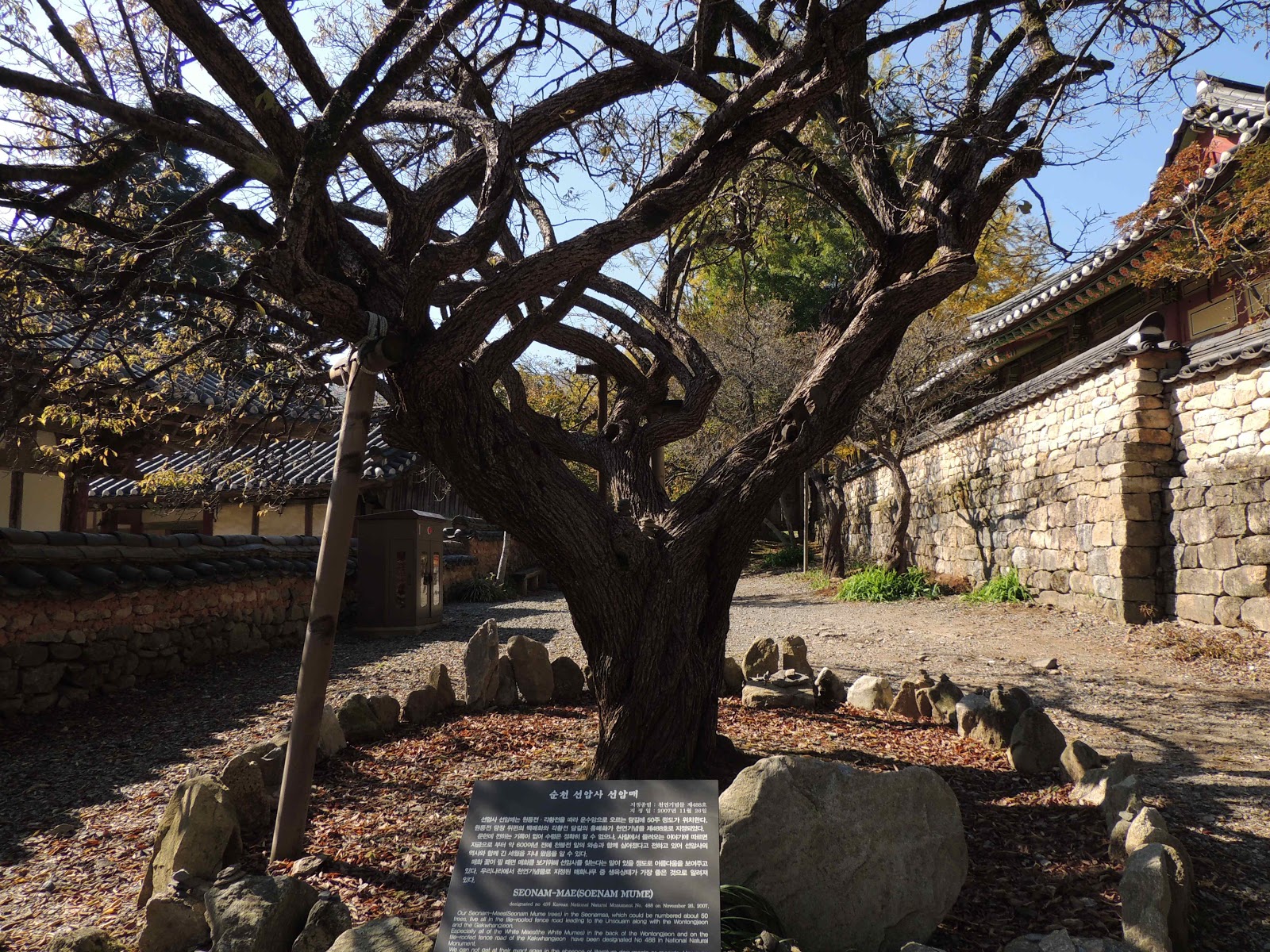 순천 조계산 선암사 순천 조계산 선암사