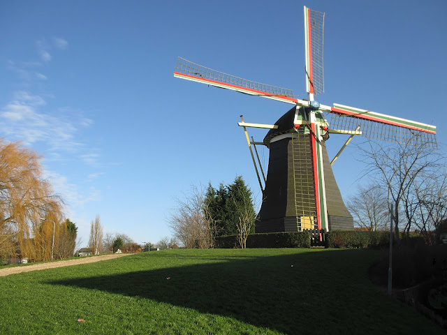Nederland: het wolletjesparadijs in Arnemuiden! Nederland: het wolletjesparadijs in Arnemuiden!
