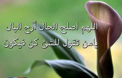 %25D8%25B1%25D9%2585%25D8%25B2%25D9%258A%25D8%25A7%25D8%25AA%2B%25D8%25B9%25D9%2586%2B%25D8%25A7%25D9%2584%25D8%25AD%25D9%258A%25D8%25A7%25D9%2587%2B%25D8%25AC%25D9%2585%25D9%258A%25D9%2584%25D8%25A9%2B%2B%25D9%2585%25D8%25AF%25D9%2588%25D9%2586%25D8%25A9%2B%25D8%25A3%25D8%25B3%25D8%25AF%2Bblog%2Blion%2B%252821%2529