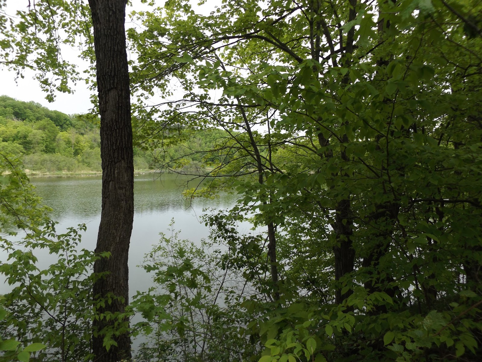 Day Hiking Trails Great hikes await near Marine on St. Croix