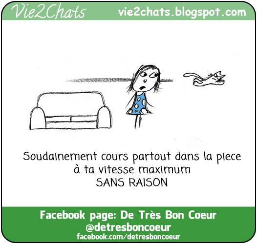 Soudainement cours partout dans la pièce, à toute vitesse... SANS RAISON. Heureusement qu'ils sont là pour chasser les fantômes ou je ne sais quoi. Commentez, Partagez laissez une trace de votre passage cela fait toujours plaisir.