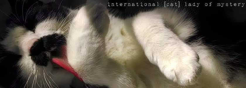 international [cat] lady of mystery