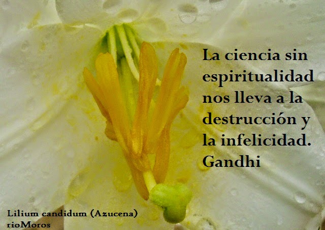 La ciencia sin espiritualidad nos lleva a la destrucción y la infelicidad. Gandhi