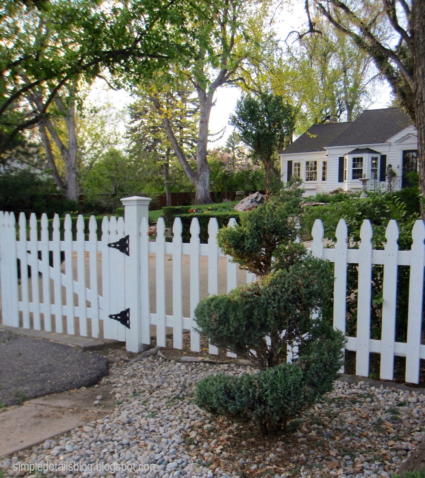 Simple Details diy evergreen spiral topiary