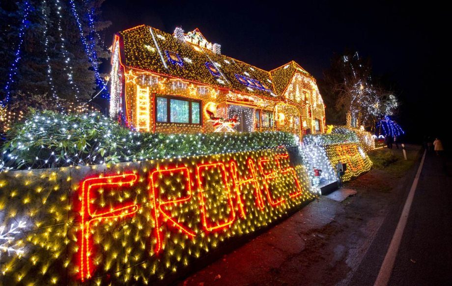 My Funny: Best Christmas Lights Performance | Pictures