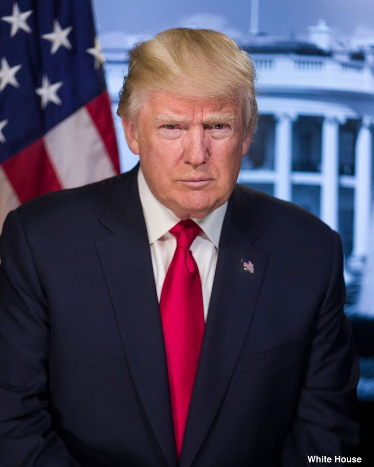 PRESIDENT DONALD J. TRUMP, 45TH PRESIDENT OF THE UNITED STATES, 1/20/2017-2021