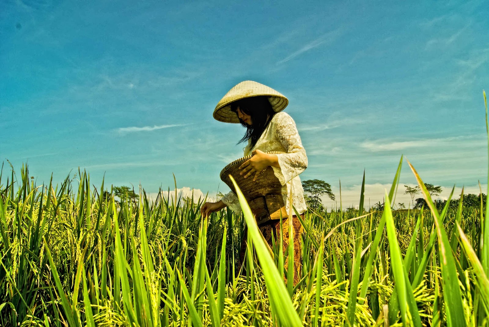 Hari Baik Bercocok Tanam Menurut Islam Berbagi Tanam