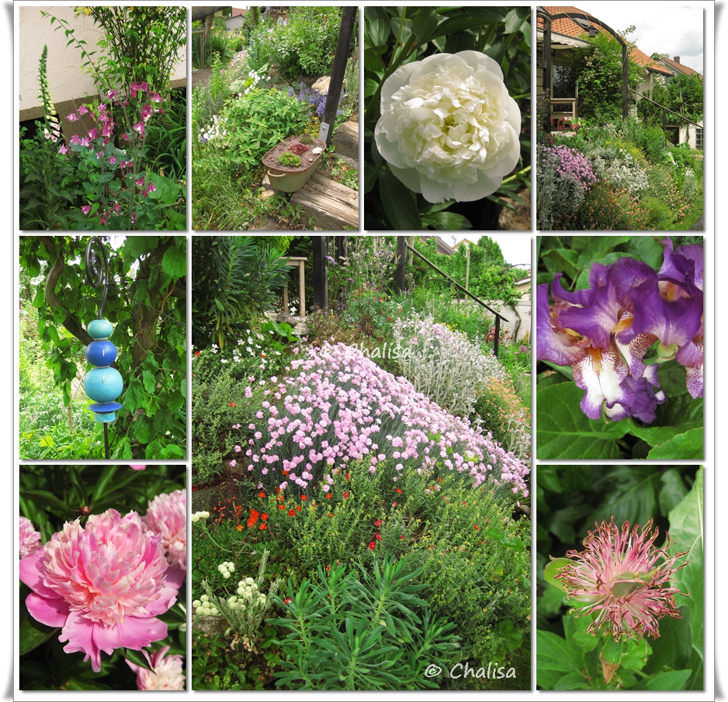 Chalisas Klostergärtchen Offene Gärten in Rheinhessen Mai 2011