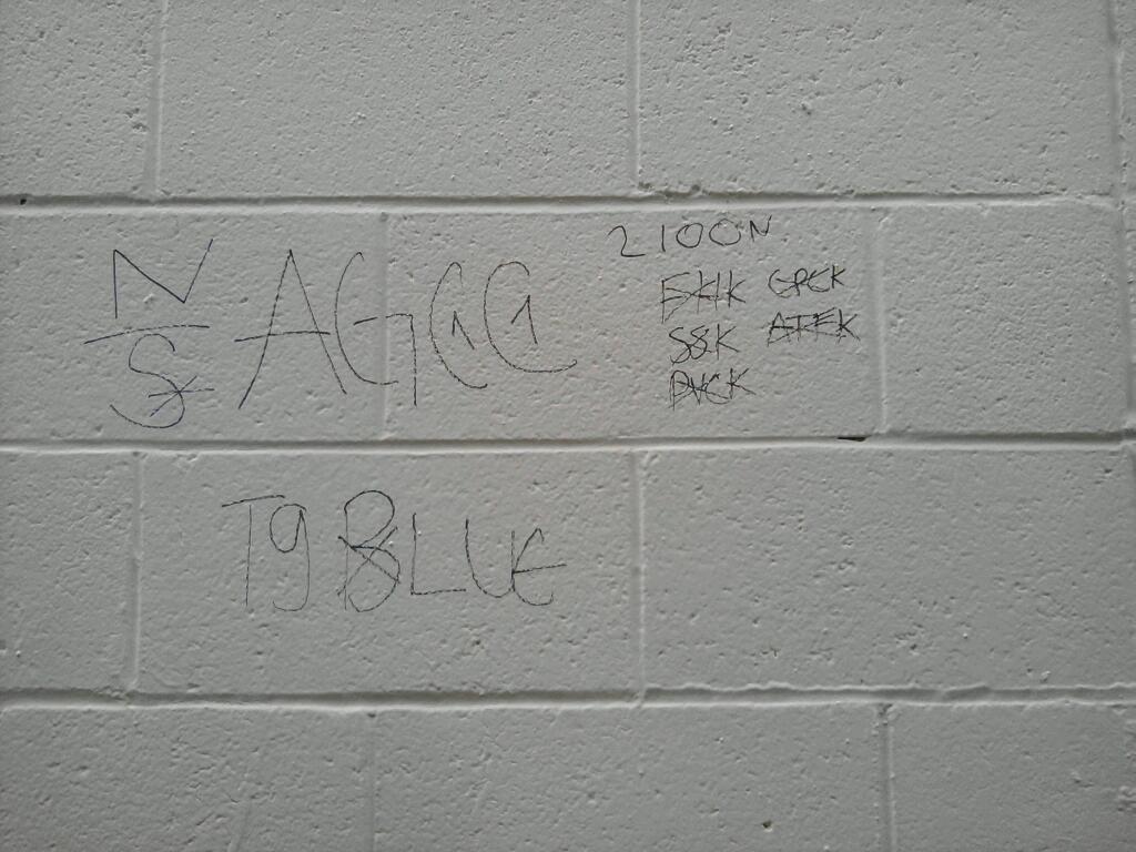 crip gangs graffiti Anzac grape compton crip